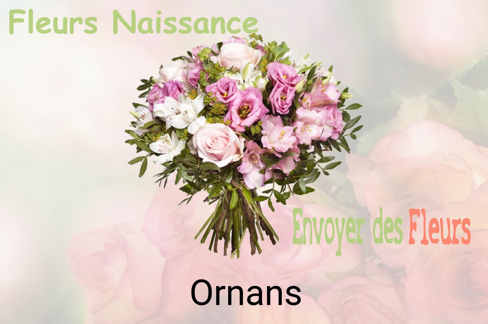 Bouquet de fleurs de naissance livré à Ornans